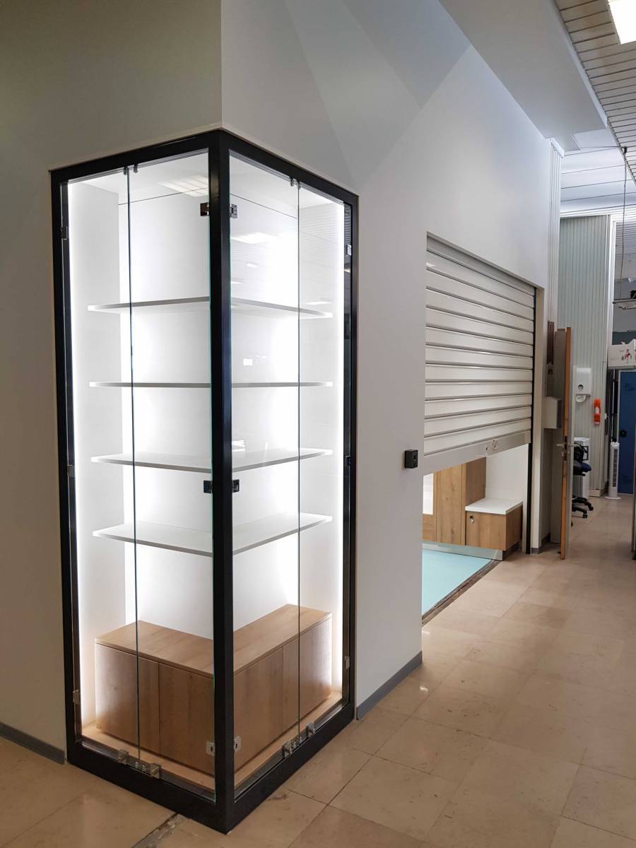 Remplacement et création de vitrage intégré pour salle de bain, style atelier sur la Destrouss (1)